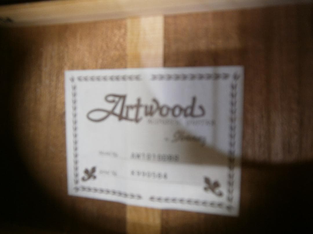 期間限定特価・アイバニーズ＜AW1010＞オール単板仕様・日本製 - メルカリ