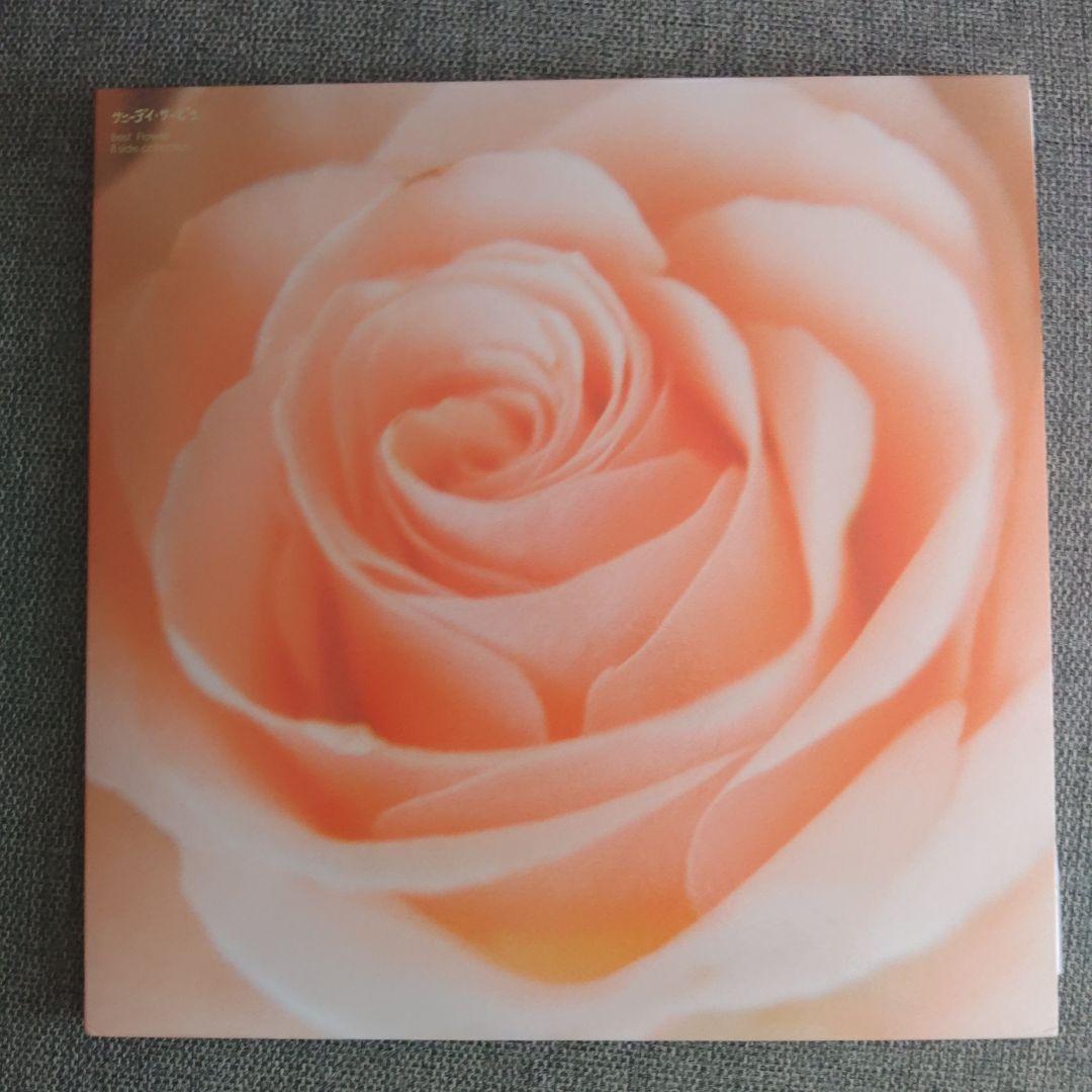 サニーデイサービスレコードBestFIower SUNNY DAY SERVICE （サニーデイ サービス） / BEST FLOWER B SIDE