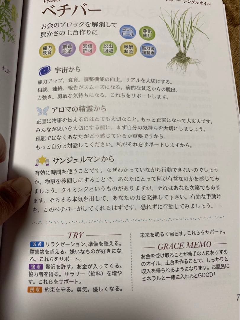 ドテラオイル　ベチバー　ナイオウッド