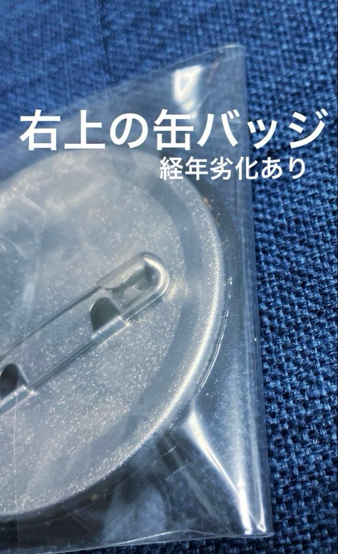 BLEACH ブリーチ ダッシュストア 缶バッジ アクリルバッジ 藍染惣右介