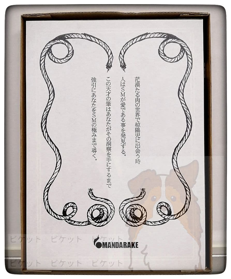 限定本　画集　椋陽児　『縄　Jyo』　発行　株式会社まんだらけ