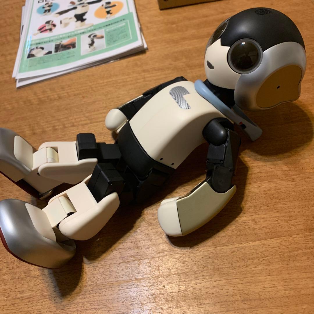 色替えRobi ロビ 2DX版　完動品　オーナー愛称登録してお譲りします。