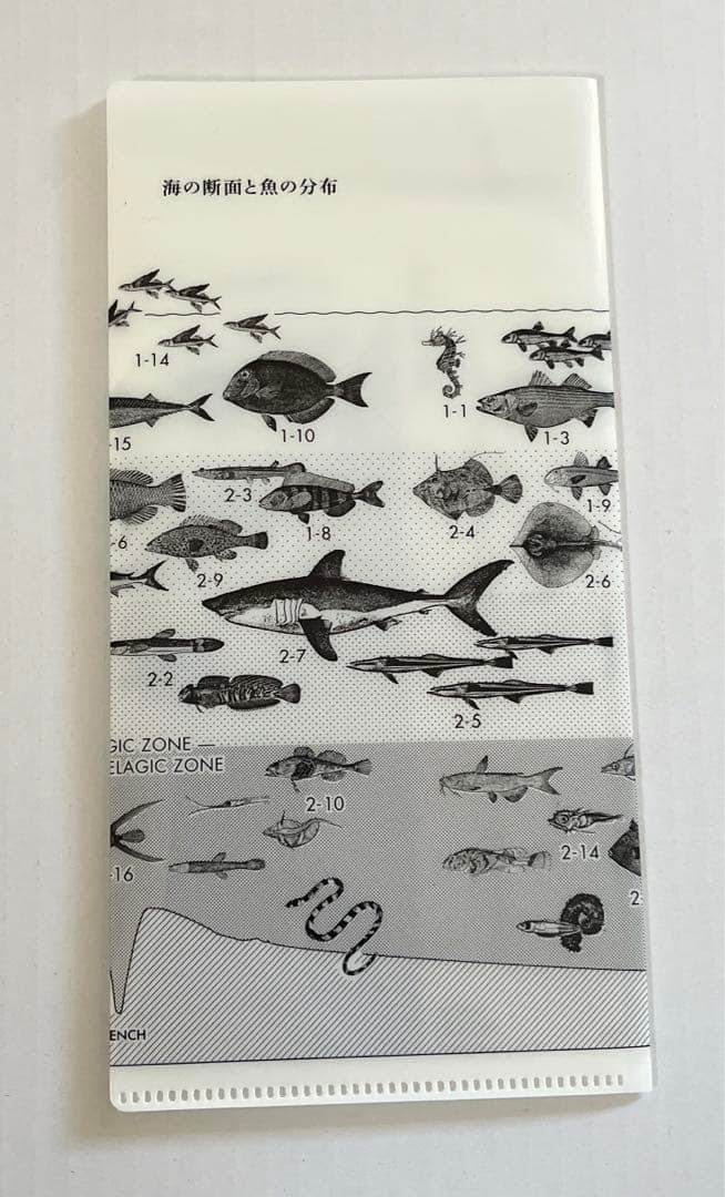 サカナクション 魚図鑑 完全生産限定盤プレミアムBOX(3CD＋魚大図鑑