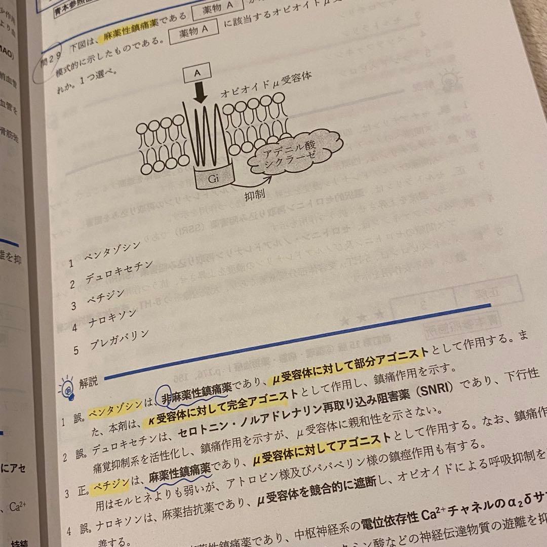 最新3回分】薬ゼミ 2025年度統一模試 解答解説書 260 259 258 - メルカリ