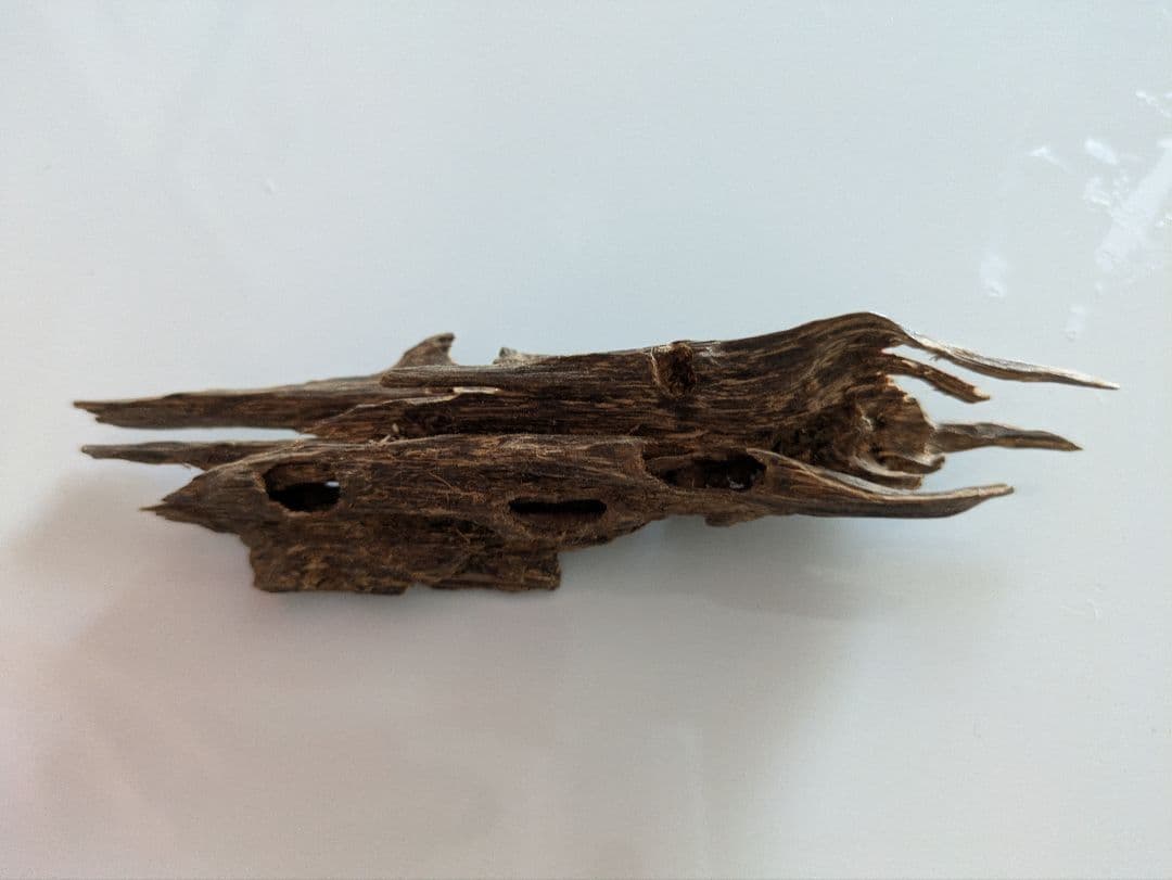 流木状 香木 高級線香『香木吟味-KOUBOKUGINMI-【白檀・印度尼西亜-Sandalwood