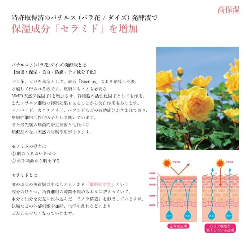 ゴモンベベ フェイスマスク セルモイスチャー エッセンス 美容液