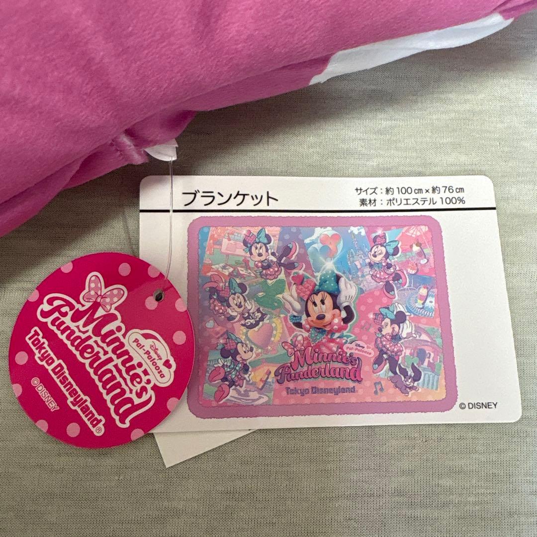 本文必読】パルパルーザ ブランケット ミニーのファンダーランド 2024