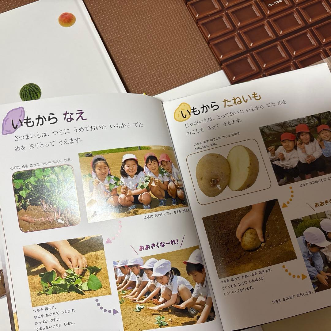 最終値下げ キンダーブックしぜん 37冊