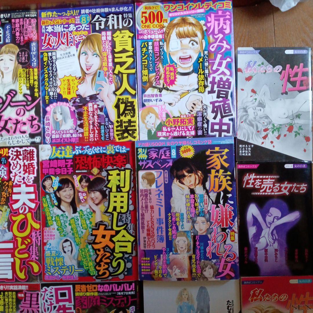 レディースコミック11冊＋おまけ4冊 - メルカリ