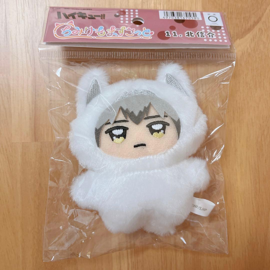 ハイキュー ちみけも ちみけもますこっと 北信介 - メルカリ