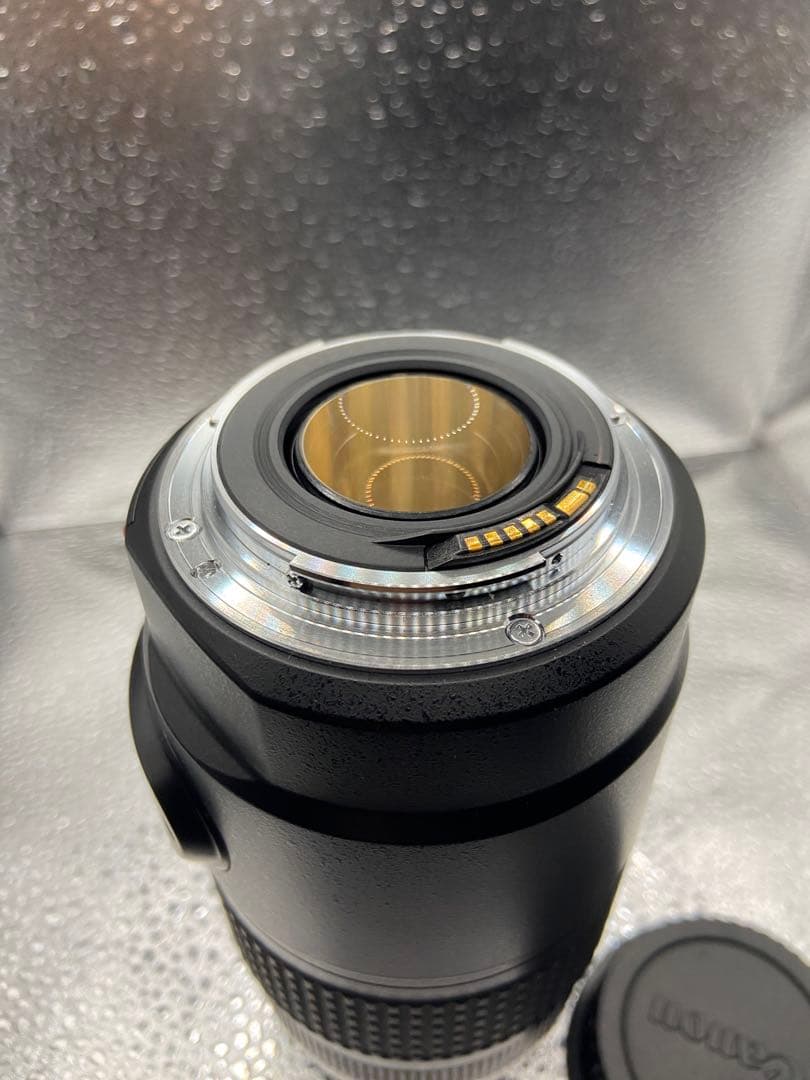 週末値引中！Canon EF 75-300mm f/4-5.6 IS USM