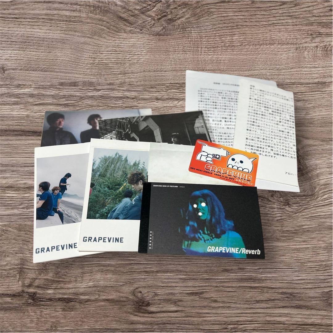 《初期》grapevineファンクラブ会報36冊+α