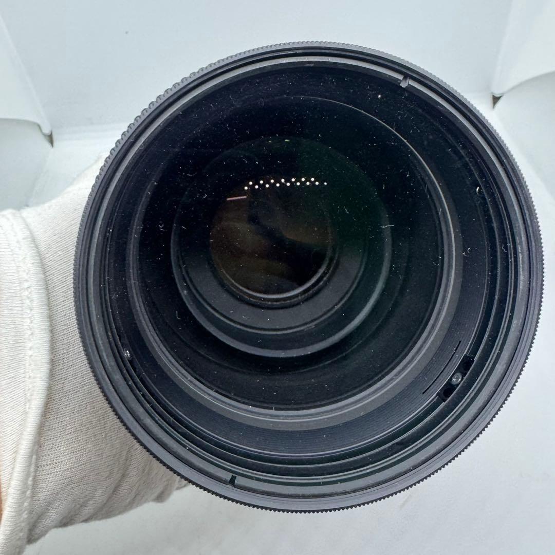 TAMRON 200-500mm f/5-6.3 レンズ