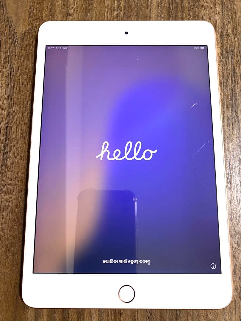 iPad mini5 A2124 ジャンクWi-Fi+Cellular 64GB