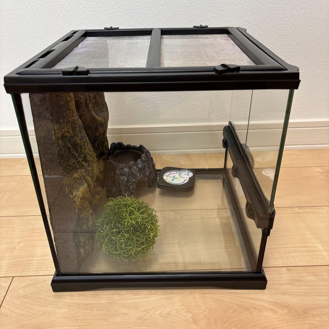 プロフ必読様専用】グラステラリウム3030とその他付随品のセット