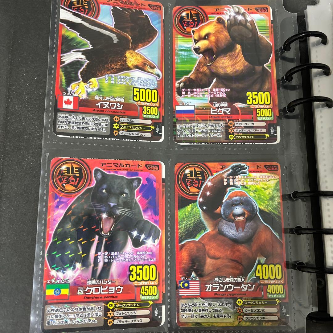 アニマルカイザー アニマルカード ノーマル20枚 - メルカリ