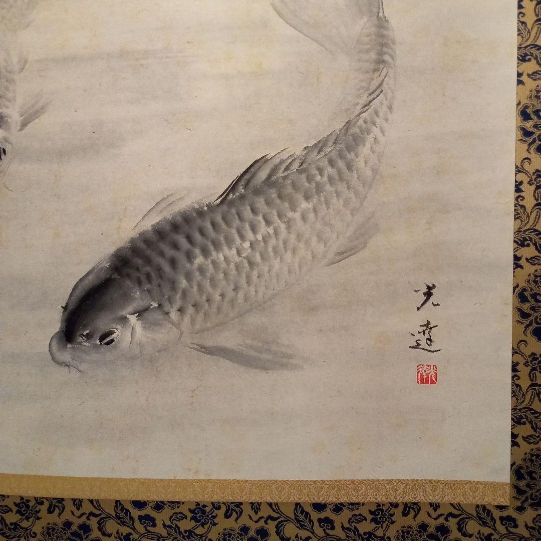 真作「名品希少大作」掛け軸 鯉の光達 森田光達(雙鯉・識箱) - メルカリ