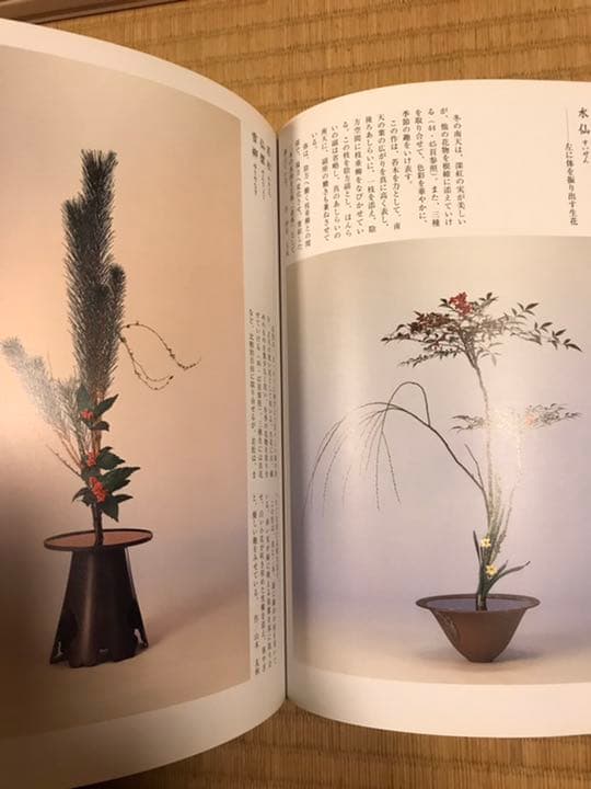 風姿抄 池坊生花正風体作品集 4冊セット - メルカリ