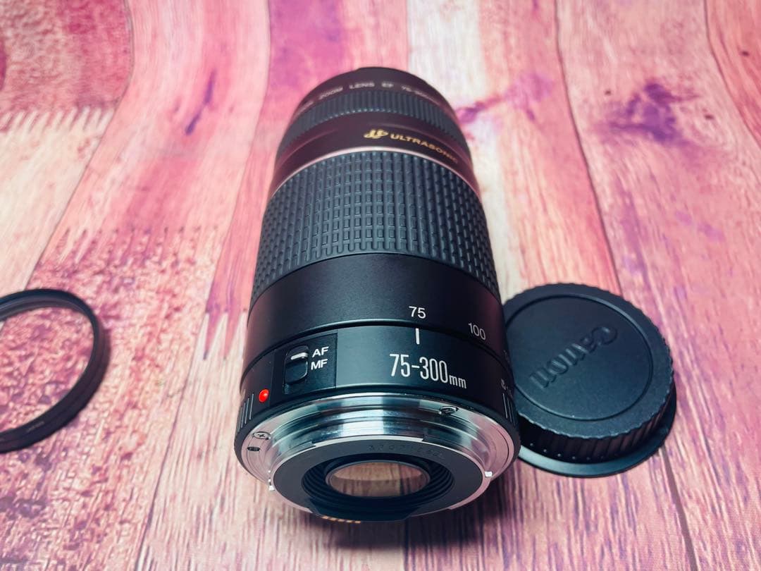 CANON キャノン EF 75-300mm1:4-5.6 Ⅲ USM