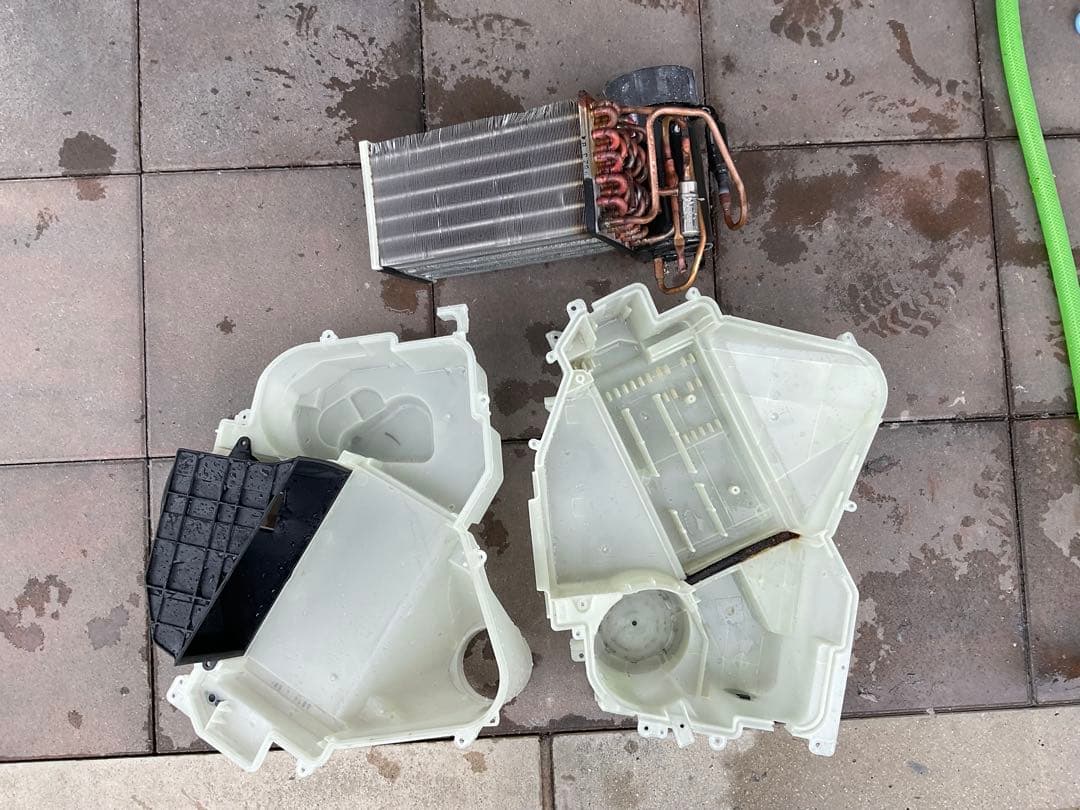 【分解洗浄済み】シャープドラム式洗濯乾燥機　ES -W113SL 2022年購入