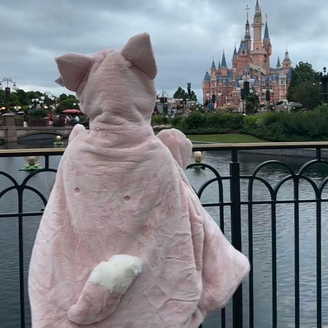 上海ディズニー リーナベル ブランケットポンチョ - メルカリ