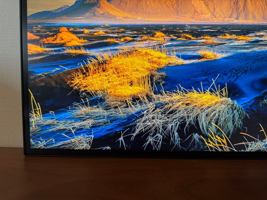 【Yuri0712】 2枚セット ThinkVision 本体のみ