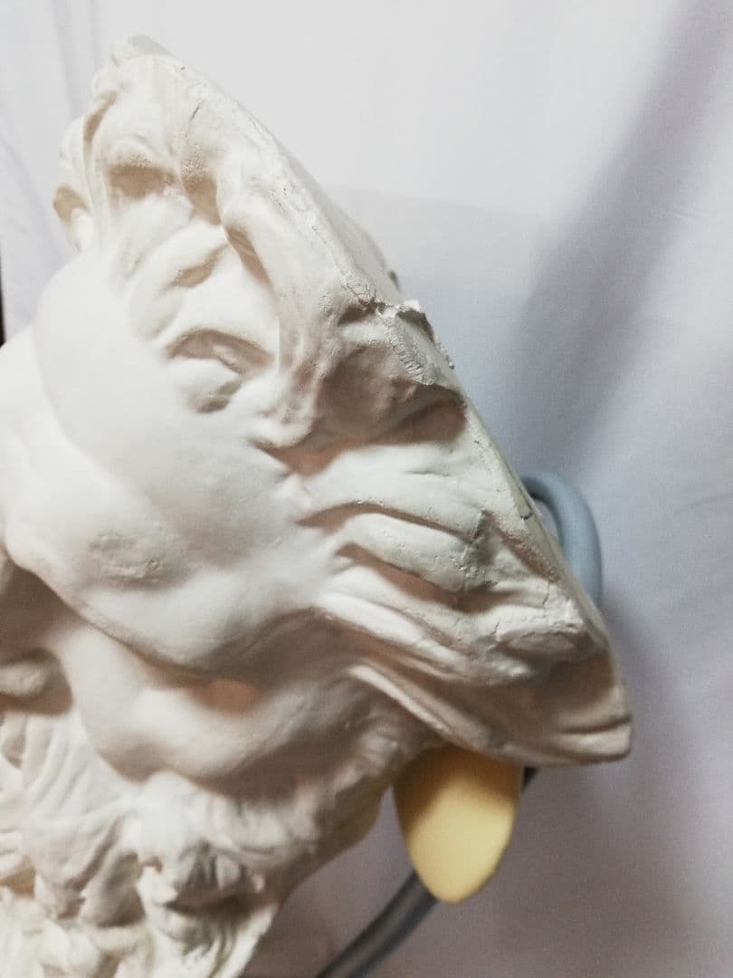 石膏像 モーゼ大顔面 基礎デッサン美大受験 - メルカリ