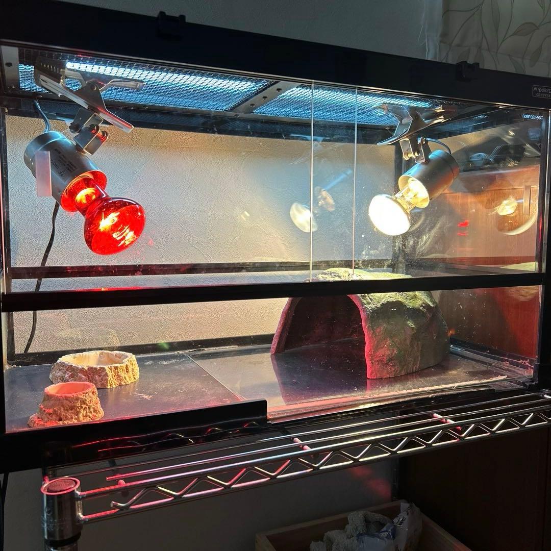 リクガメ】【トカゲ】爬虫類飼育ケージセット - メルカリ