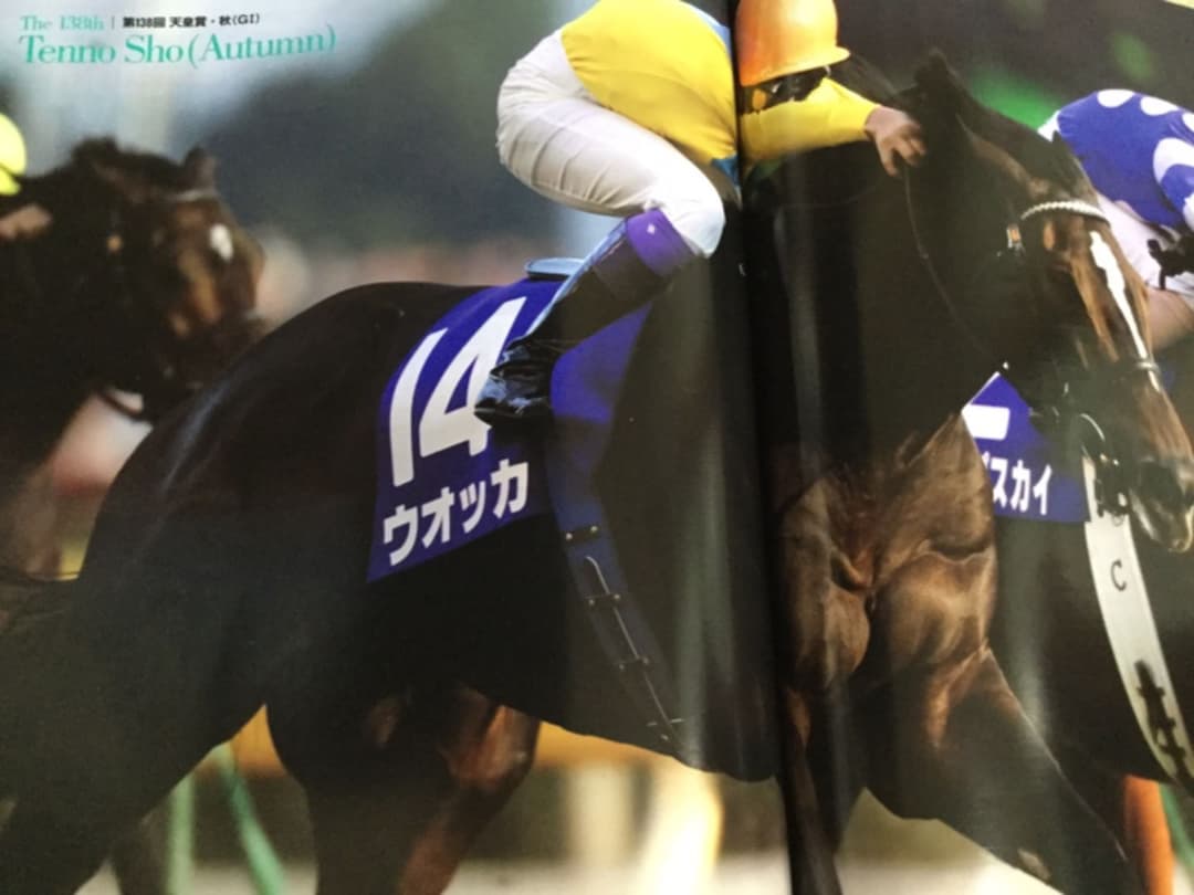 2008年   ターフヒーロー   ウオッカ＆ダイワスカーレット