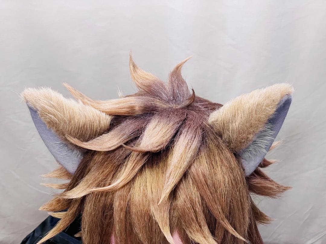 オーダー】ラギー 耳 尻尾 獣耳 コスプレ ツイステ ウィッグ 【受付中