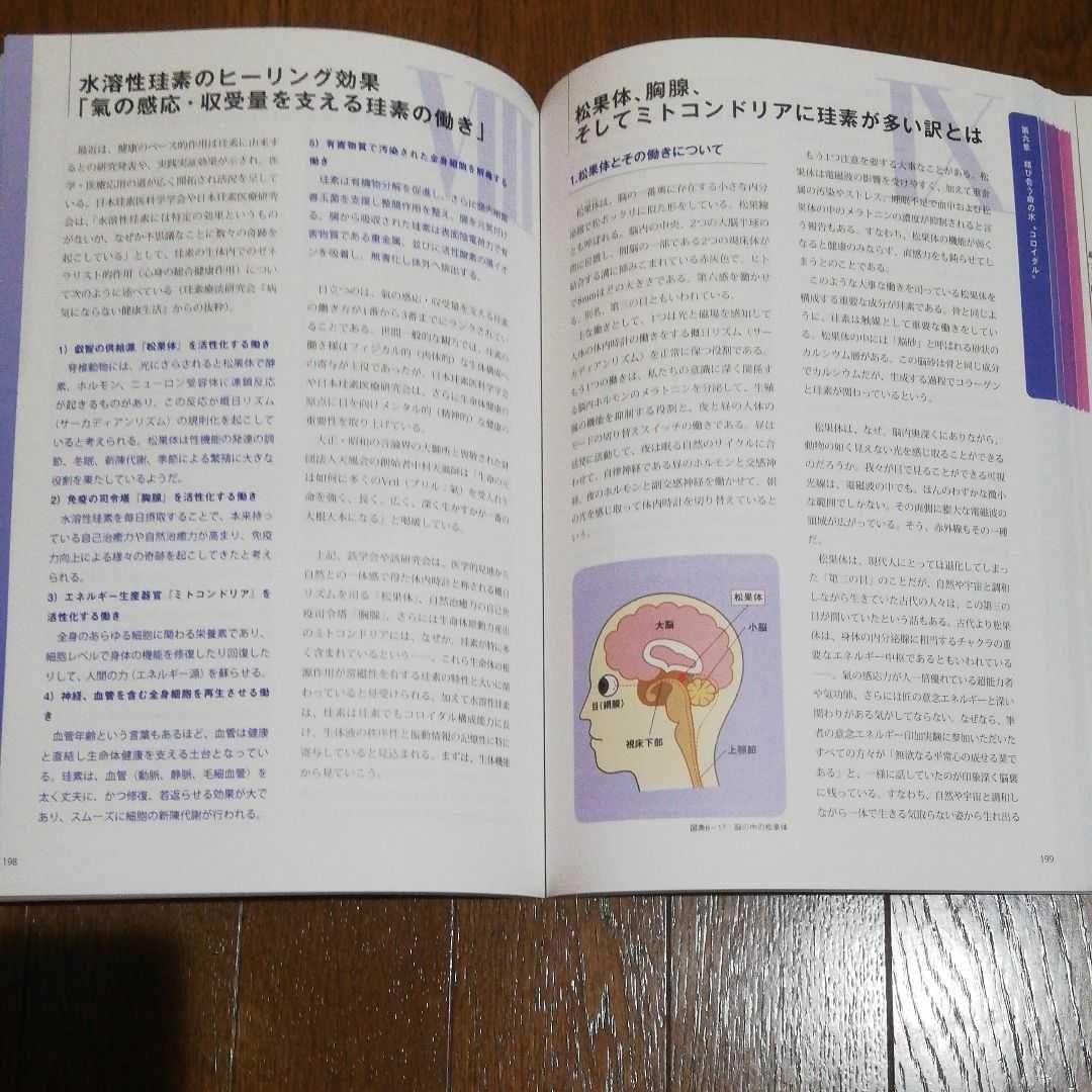 結び合う命の力 水と珪素と氣 コロイダル領域論