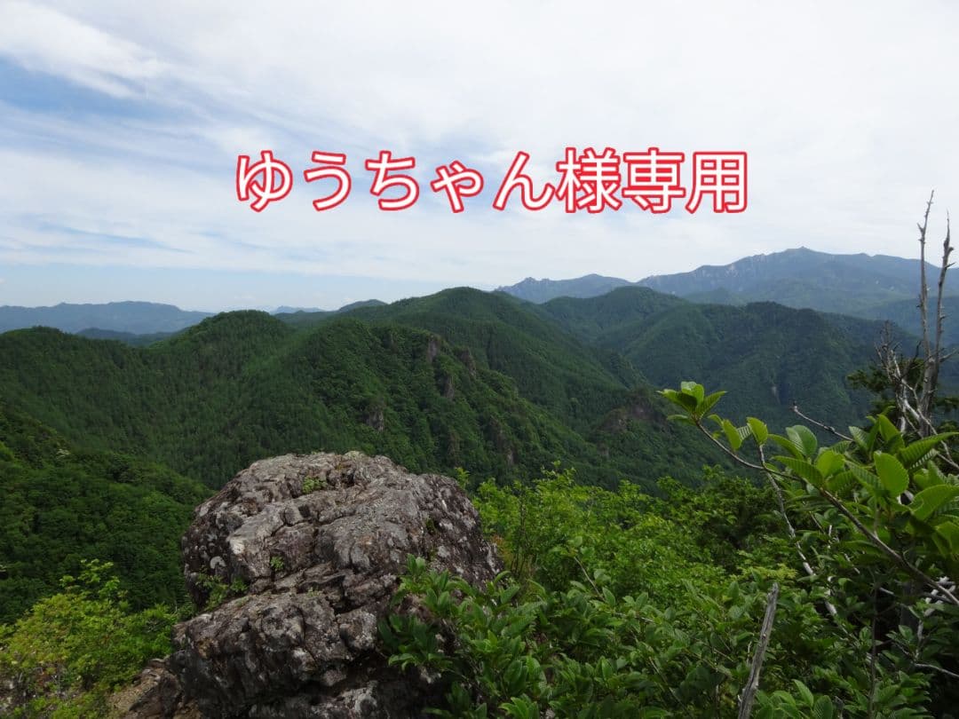 ゆうちゃん!!南砺ペグマタイト2点 壁掛けくま H / 増田光