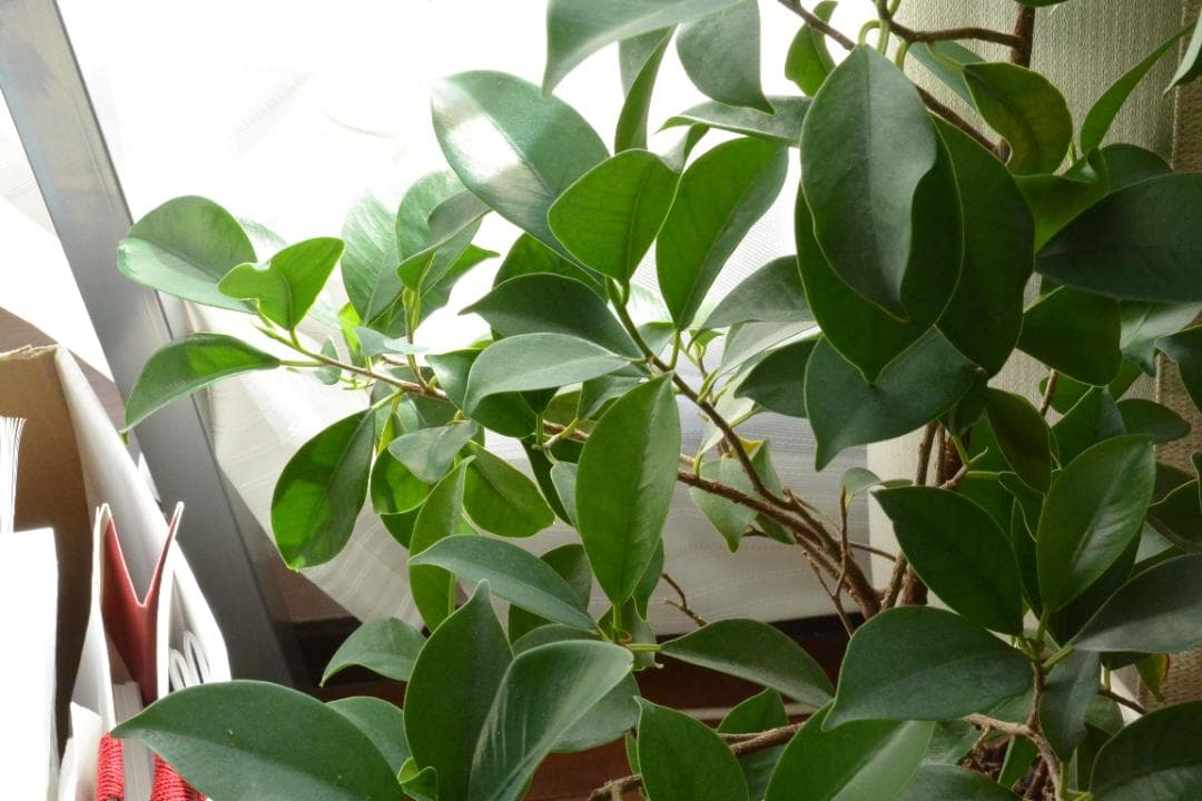 美品　NIKON １　AW1 nikkor 11-27.5mm F3.5-5.6