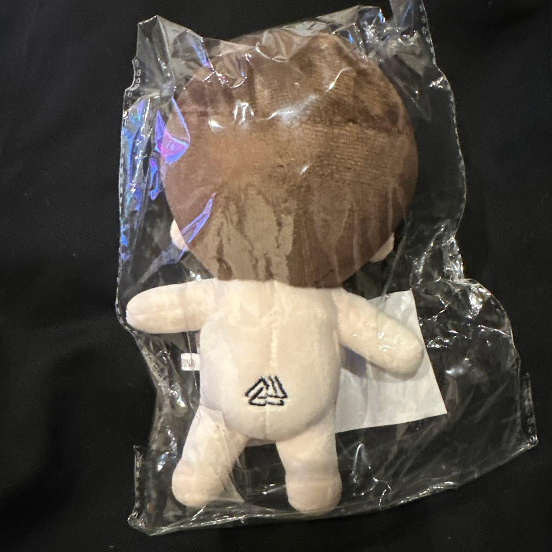チ・チャンウク ぬいぐるみ 15cm 新品 - メルカリ