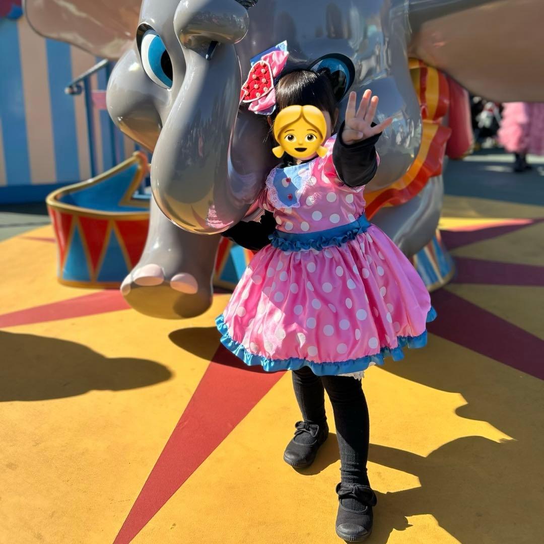 ディズニー パルパルーザ ミニー ファンダーランド ワンピース - メルカリ