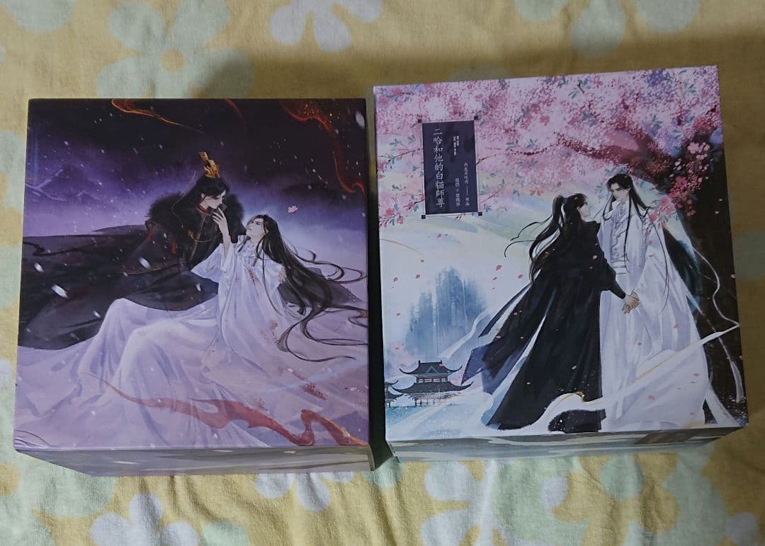 二哈和他的白猫師尊 繁体字 1〜8巻+番外編2冊+BOX - メルカリ