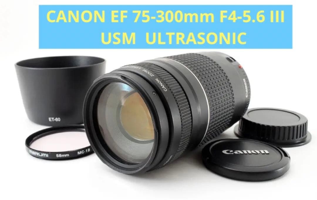 Canon純正 28-200mm 望遠レンズ 美品 a3610