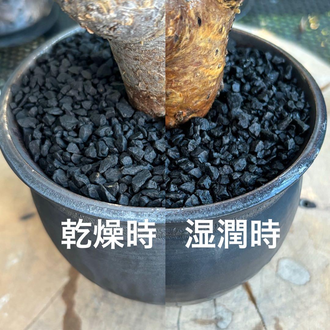 2kg 化粧石 砂 マルチング デコジャリ ブラック アガベ 化粧砂 土 194