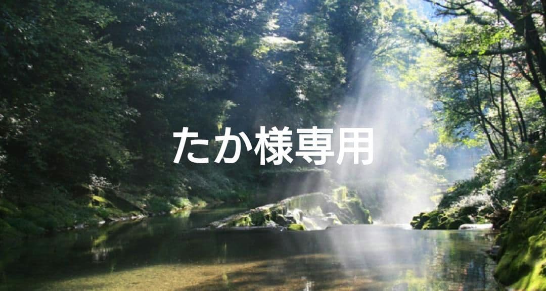 たか✨特典付電磁波防止✨本物CMCペンダントUSA版2本お値引 CMC/電磁波防止用ペンダントC - セレクトショップ｜ARCDEUX (アーク