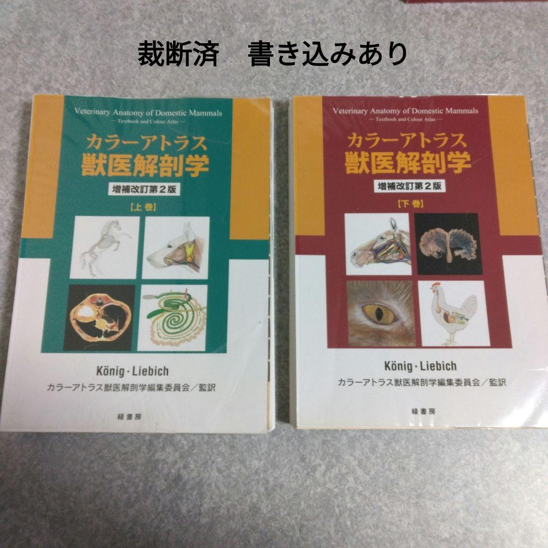 カラーアトラス獣医解剖学 増補改訂第2版 上下巻セット Amazon.co.jp: カラーアトラス獣医解剖学 増補改訂第2版 上巻 : カラー
