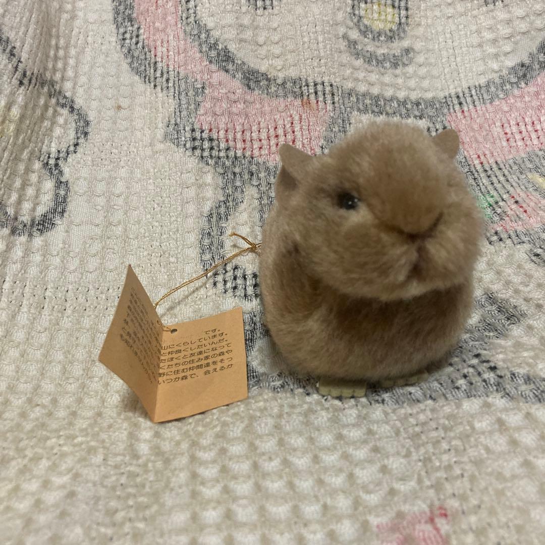 やまね工房 鳴く ナキウサギ ぬいぐるみ タグつき 中古品 - メルカリ