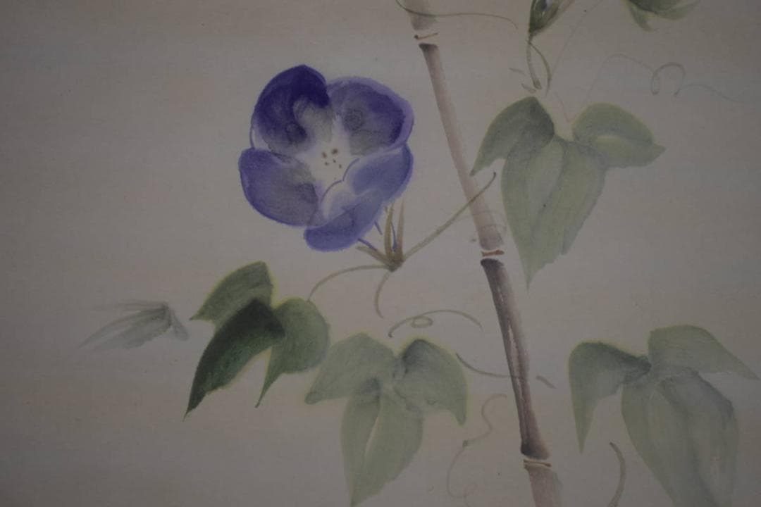 真作/長島涛逸/長島濤逸/朝顔図/桐共箱付/布袋屋掛軸HI-976 真作/長島涛逸/長島濤逸/朝顔図/桐共箱付/布袋屋