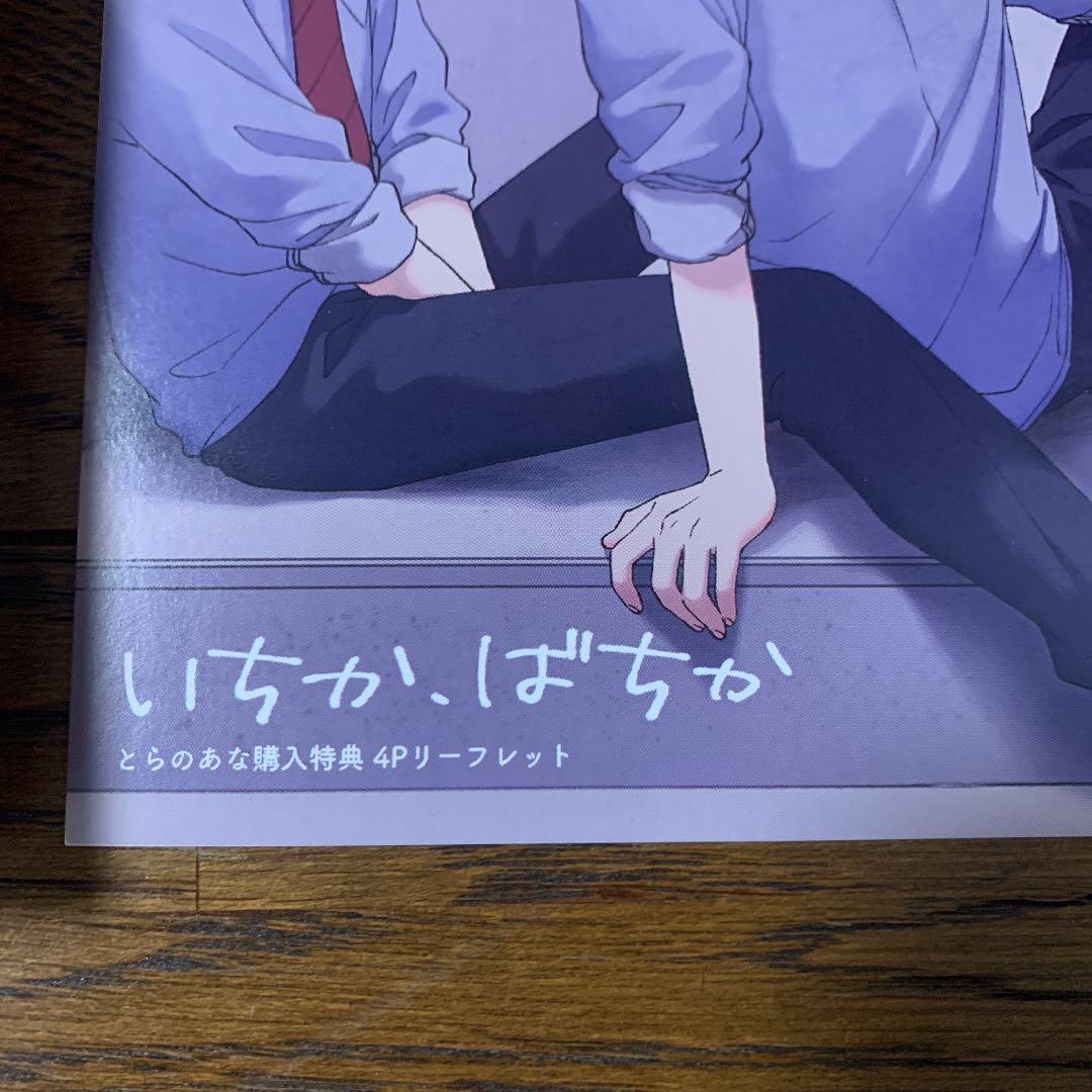 しっけ　いちか、ばちか　特装版　リーフレット　とらのあな