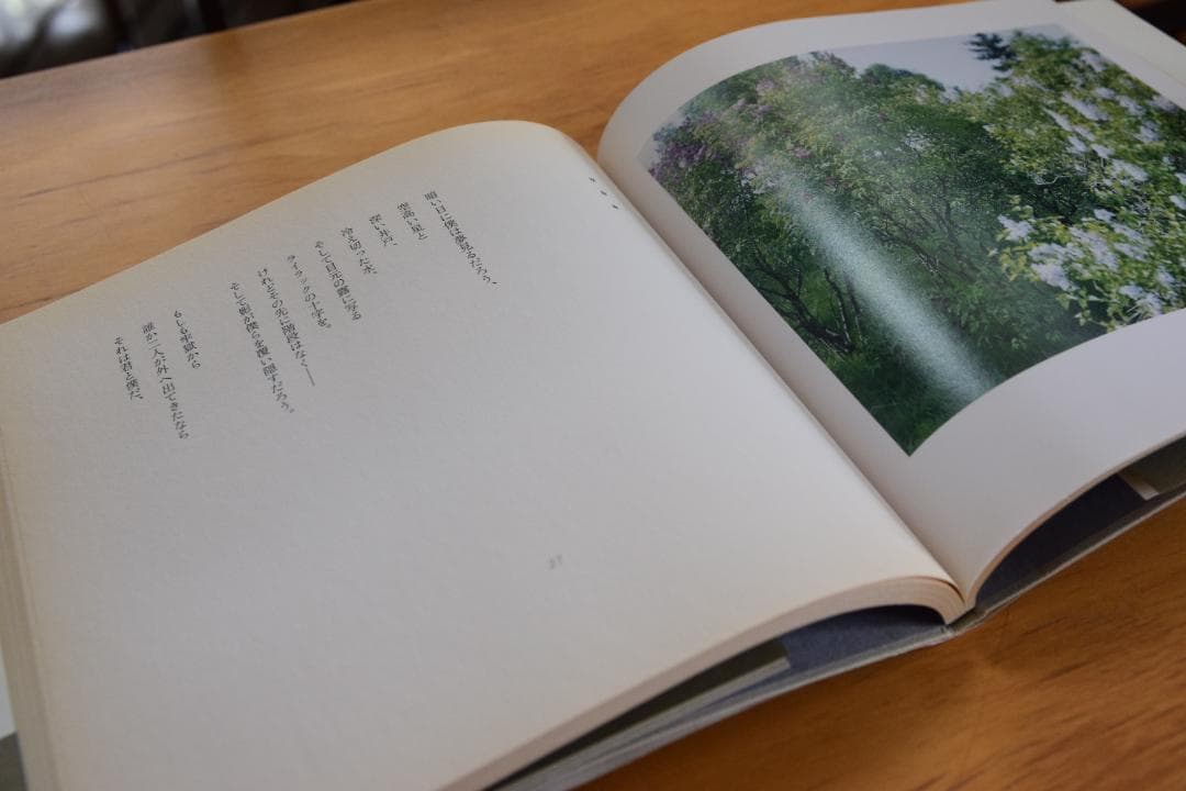 アルセーニイ・タルコフスキー詩集 『白い、白い日』