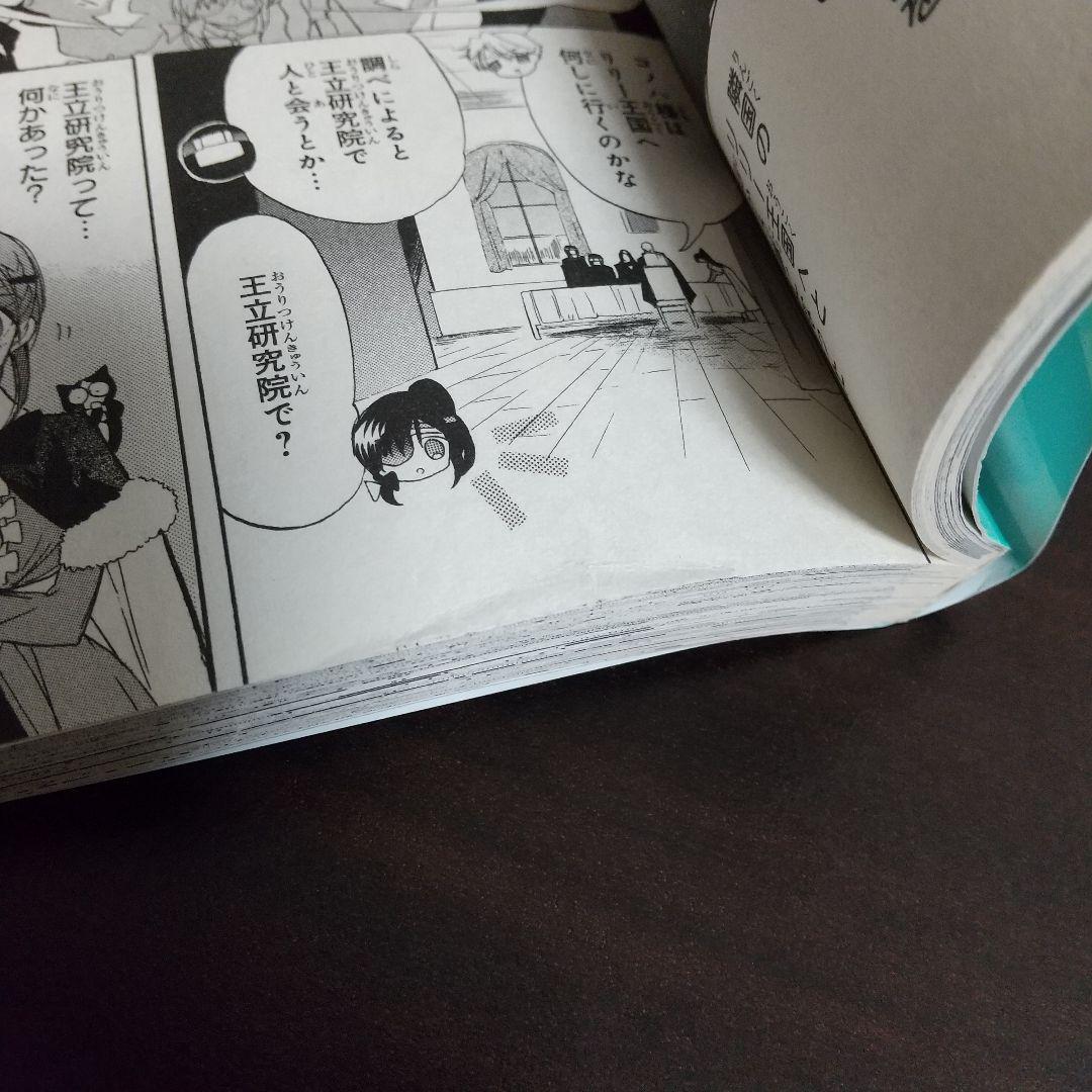 全巻初版】転生悪女の黒歴史 全巻 1-17巻 + 番外編1 特装版あり - メルカリ