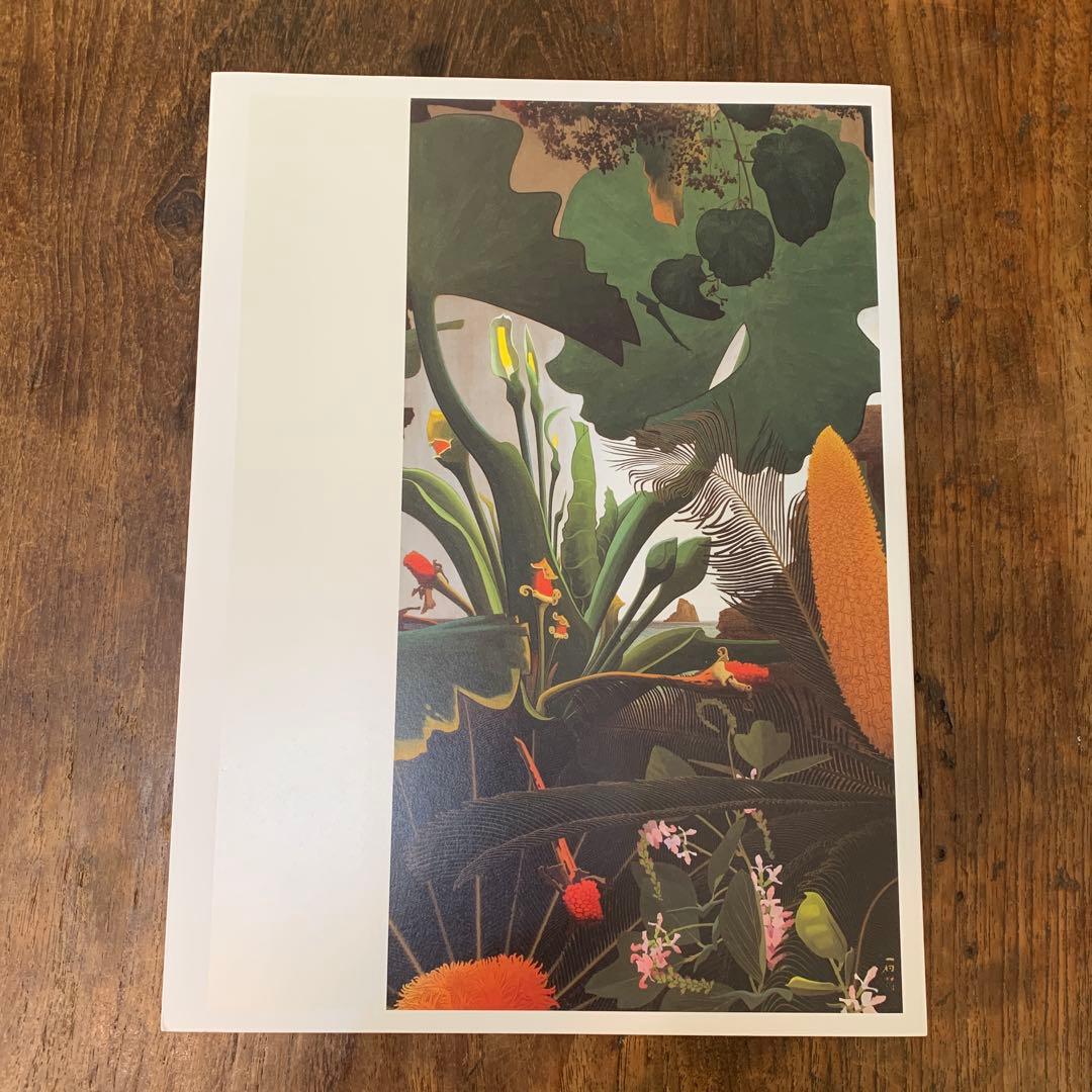 田中一村展 奄美の光 魂の絵画 公式図録とポストカード4枚とガイド