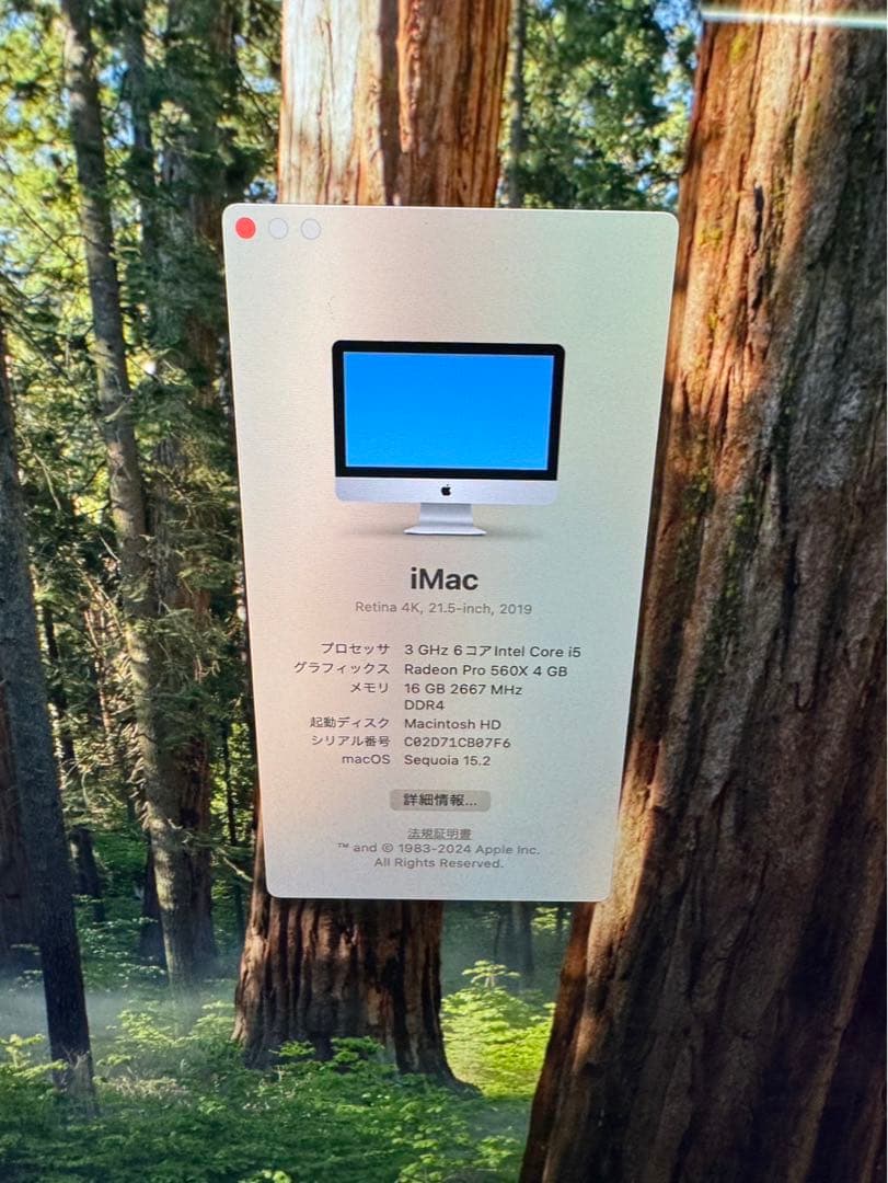 iMac 4K 21.5インチ 2019 3.0GHz i5 16GB 1TB