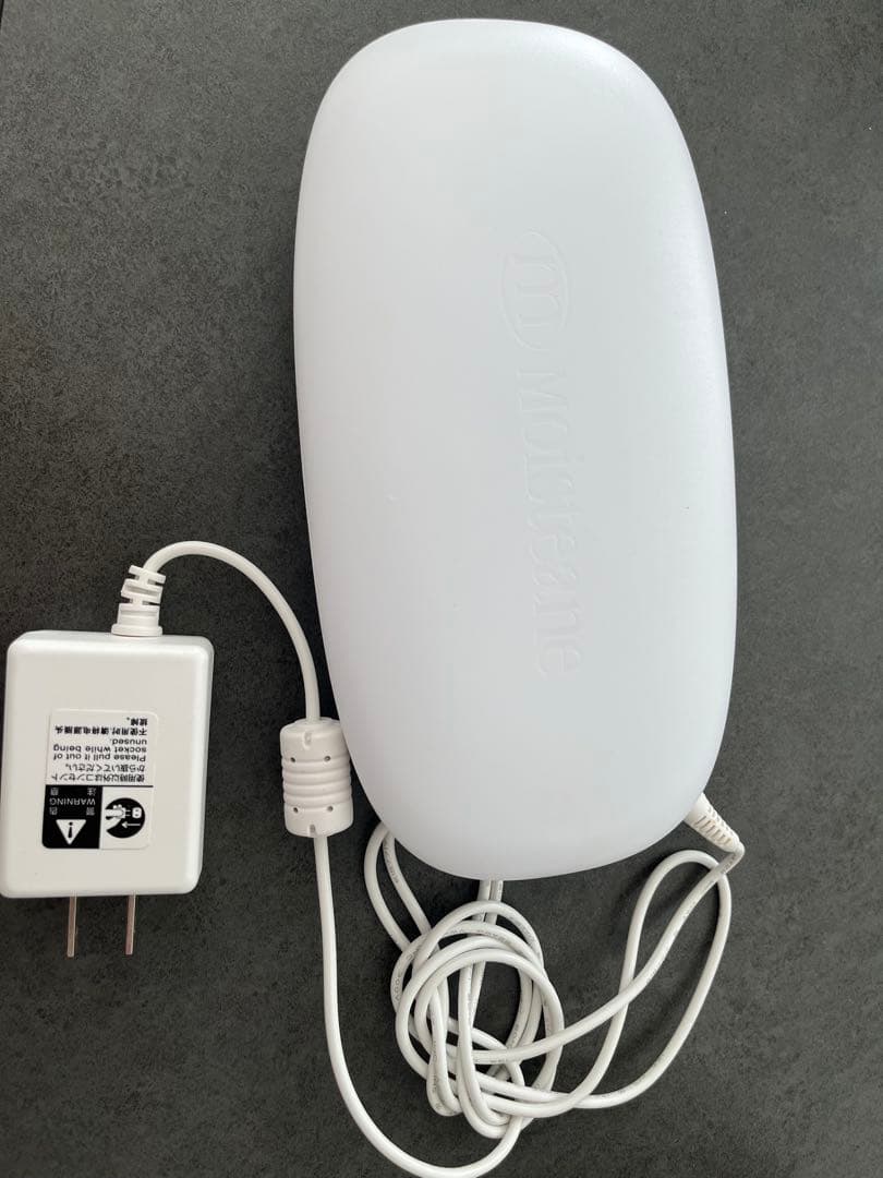 Moisteane IV スキンコンディショナー　美顔器 img_mv_01.jpg