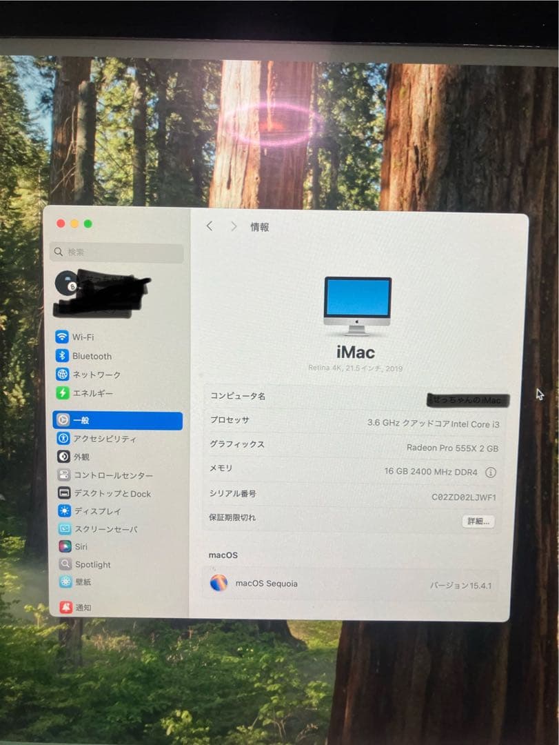 Macデスクトップ iMac A2116 21.5inch