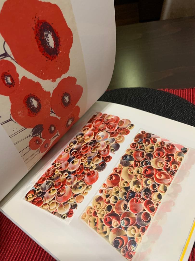 希少HENGE DASSEN morphosis, derailment